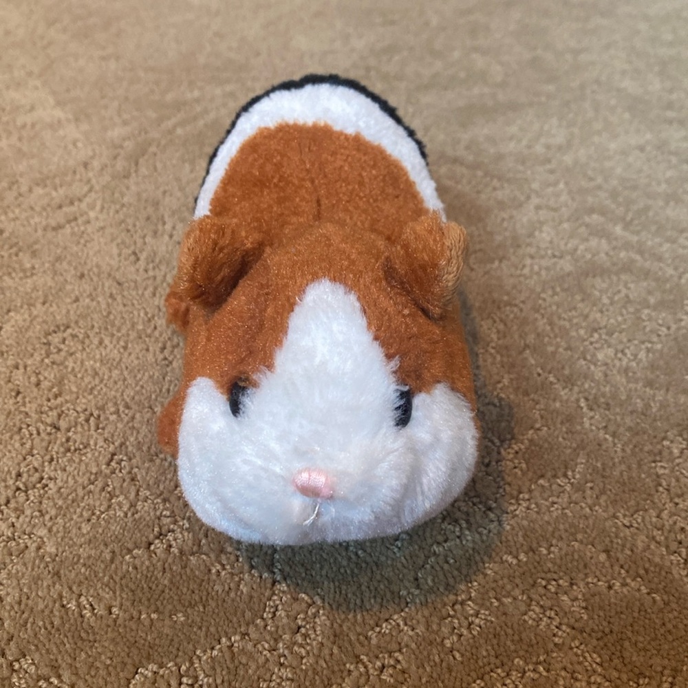 Webkinz